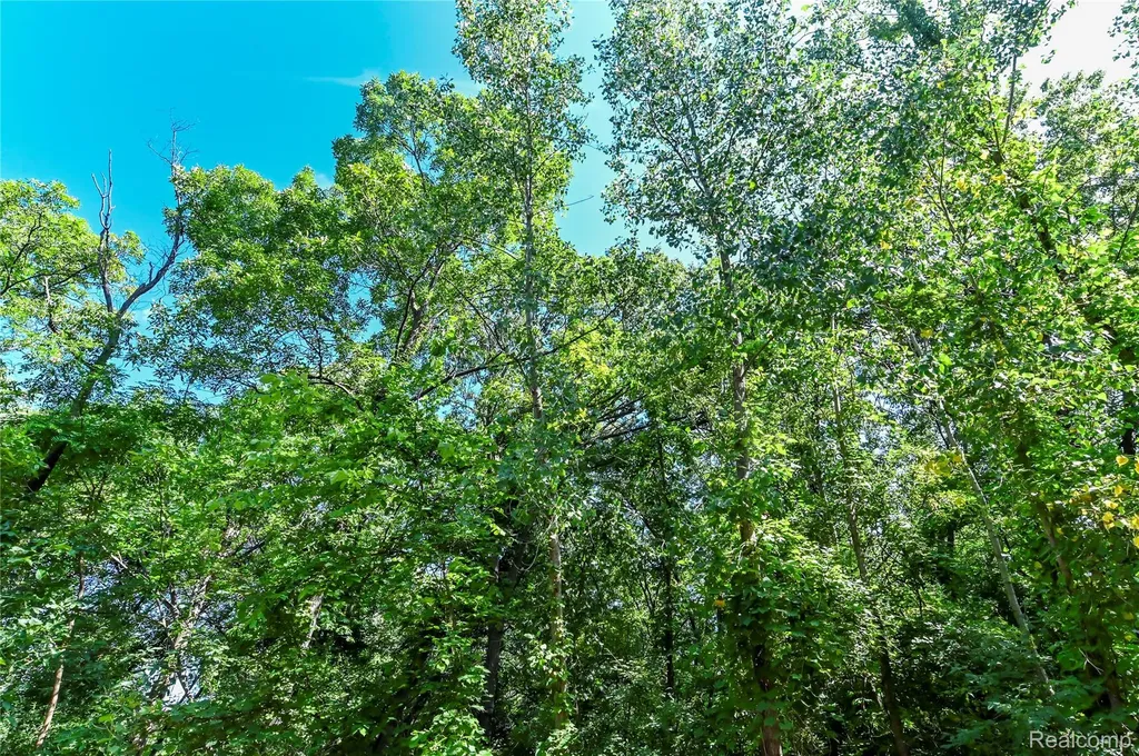 000 Holdridge Road Groveland Township MI 48462