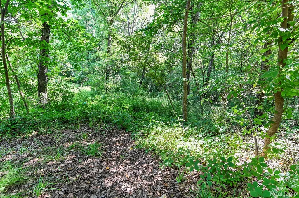 000 Holdridge Road Groveland Township MI 48462
