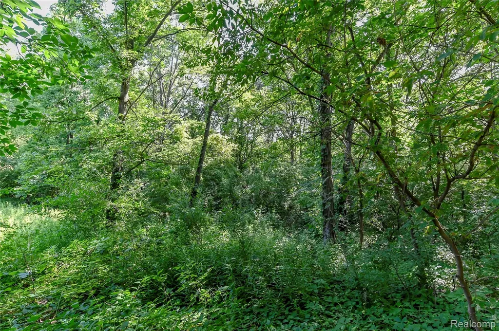 000 Holdridge Road Groveland Township MI 48462