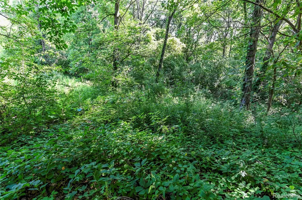 000 Holdridge Road Groveland Township MI 48462