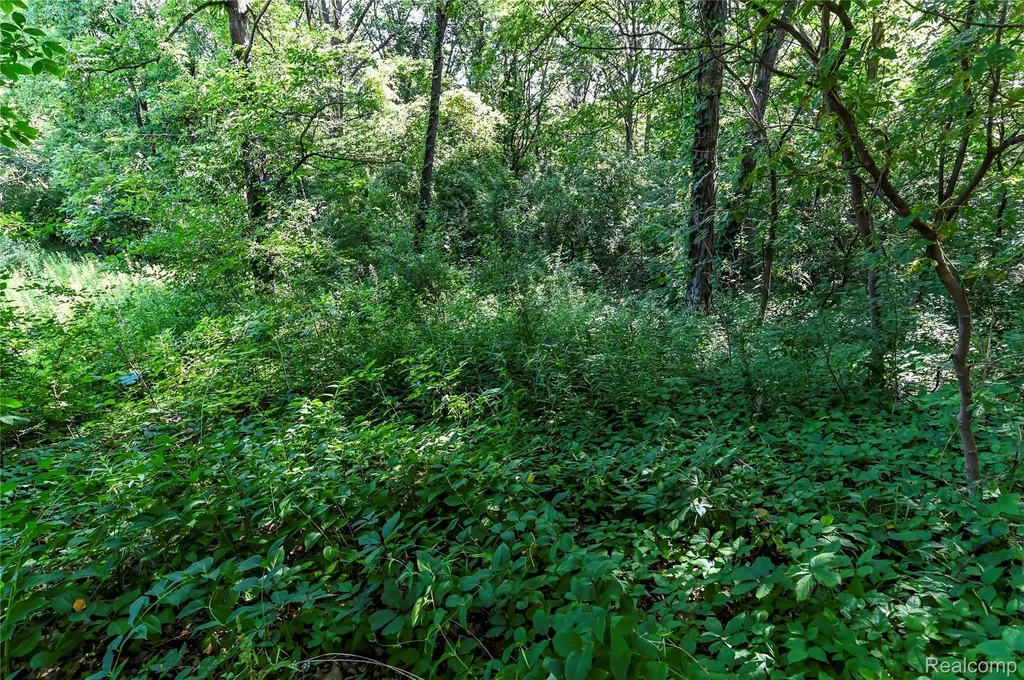 000 Holdridge Road Groveland Township MI 48462