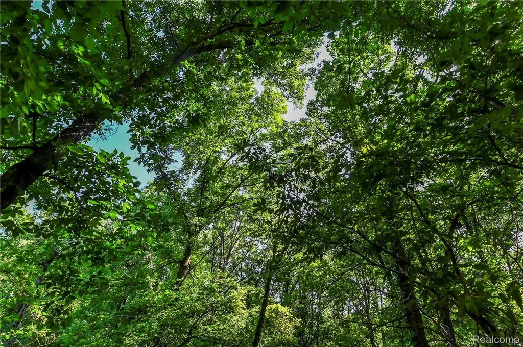 000 Holdridge Road Groveland Township MI 48462
