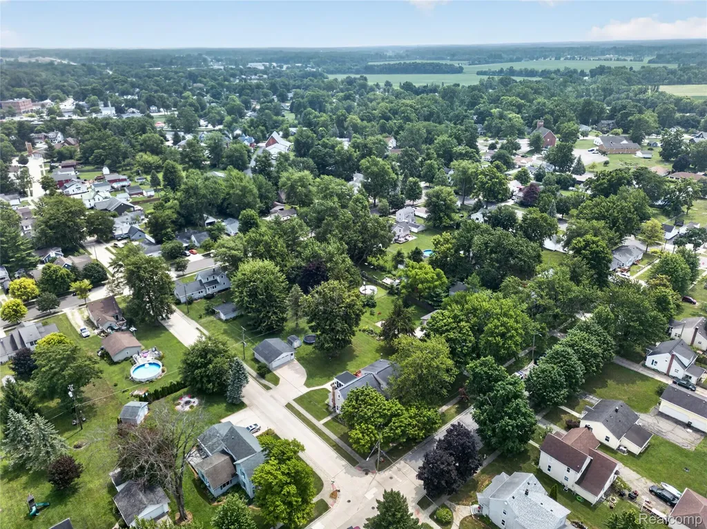 205 Mechanic Street Dundee Village MI 48131