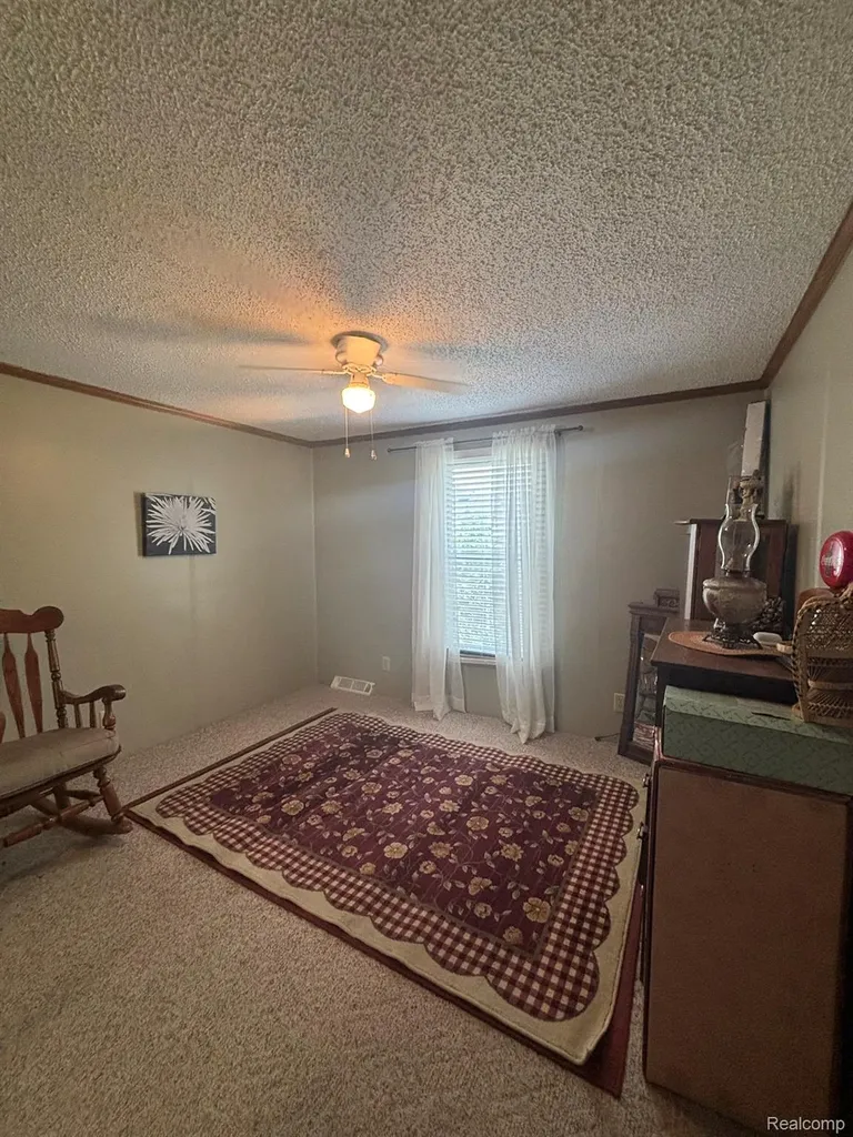 509 Park View Clio City MI 48420