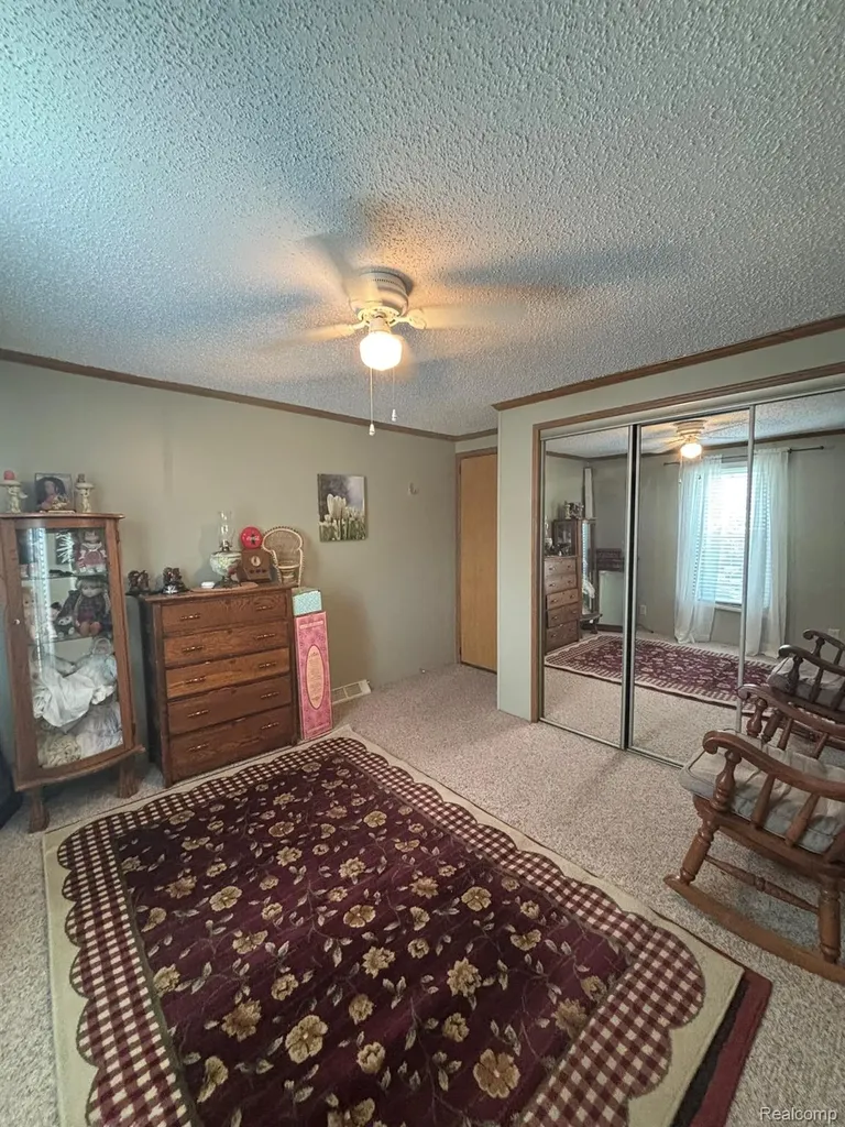 509 Park View Clio City MI 48420