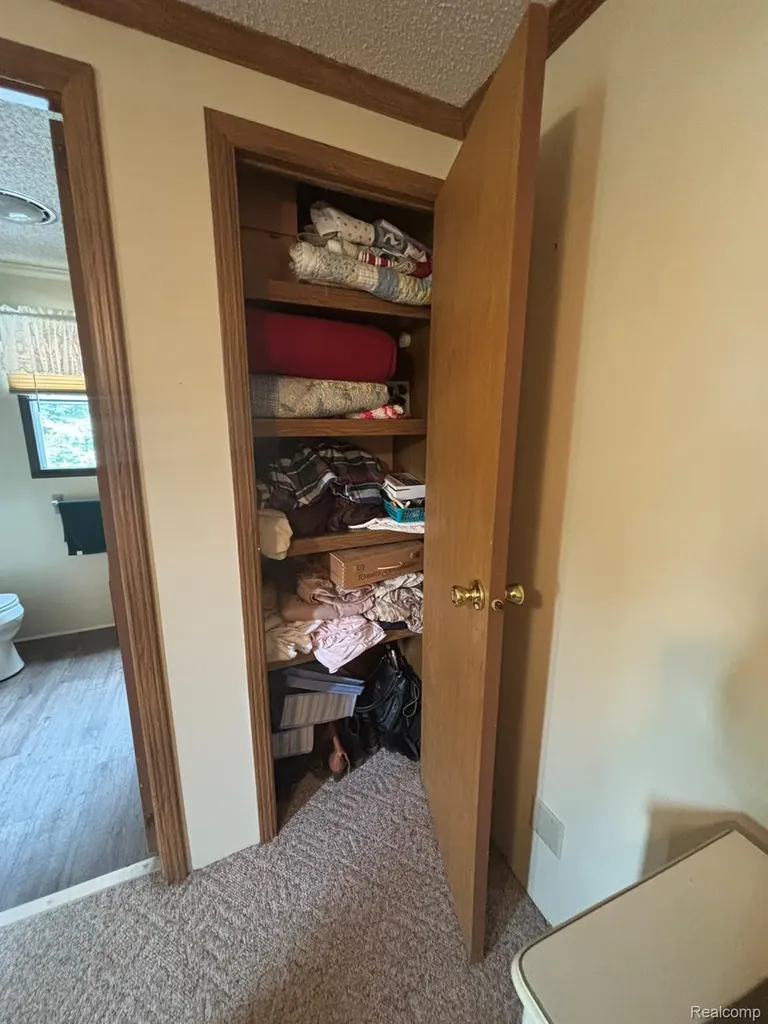 509 Park View Clio City MI 48420