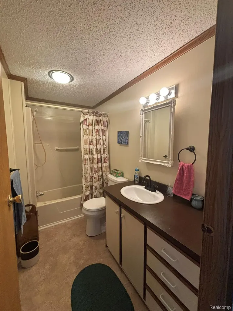509 Park View Clio City MI 48420
