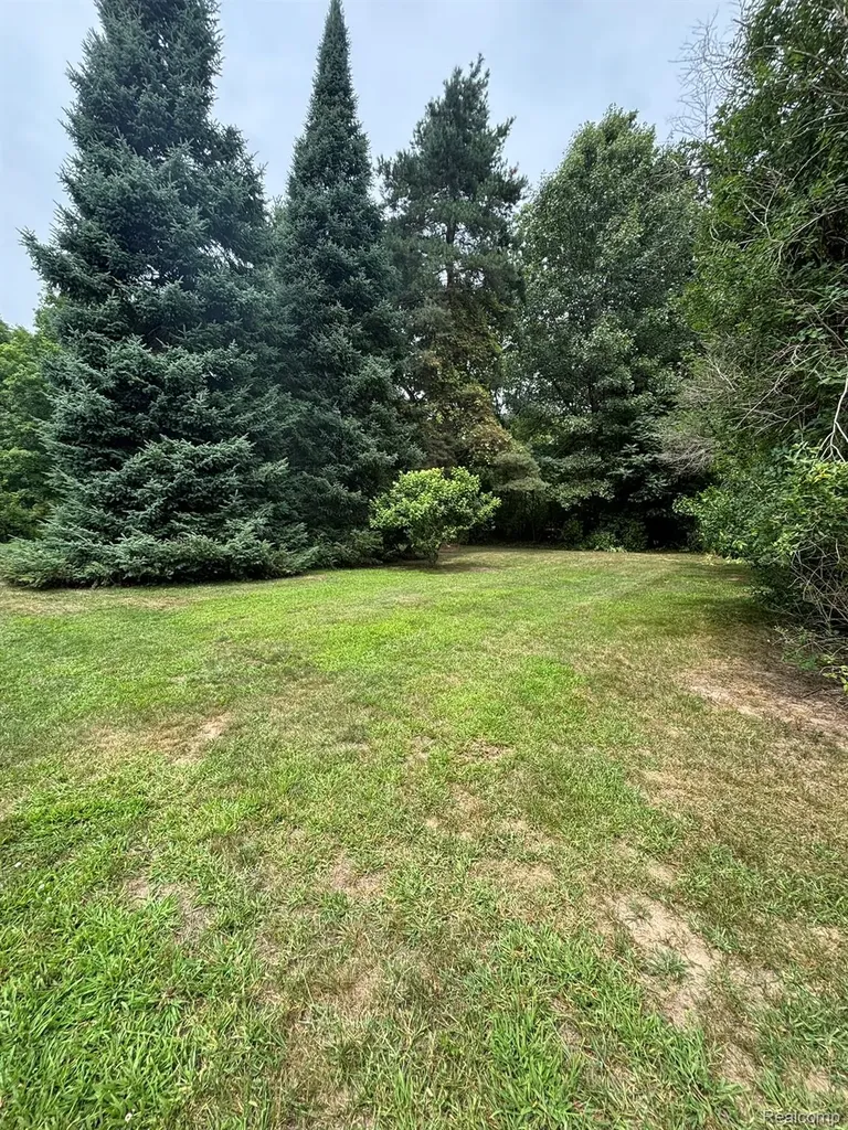 509 Park View Clio City MI 48420