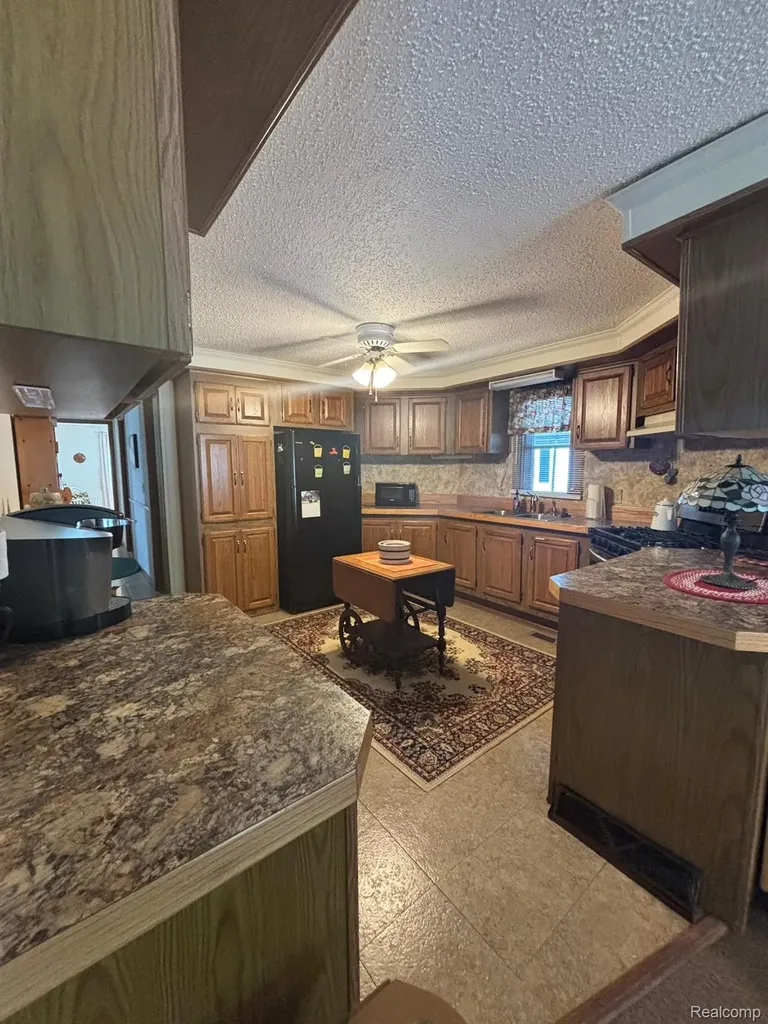 509 Park View Clio City MI 48420