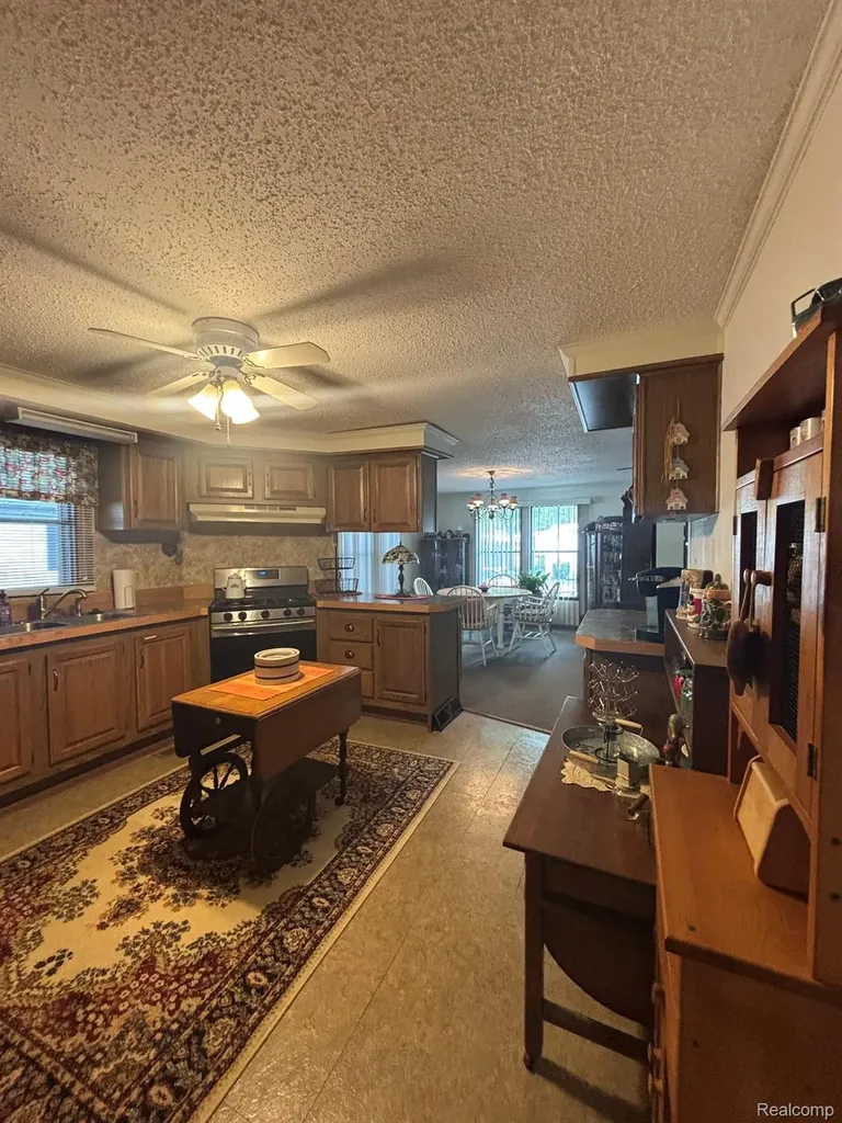 509 Park View Clio City MI 48420