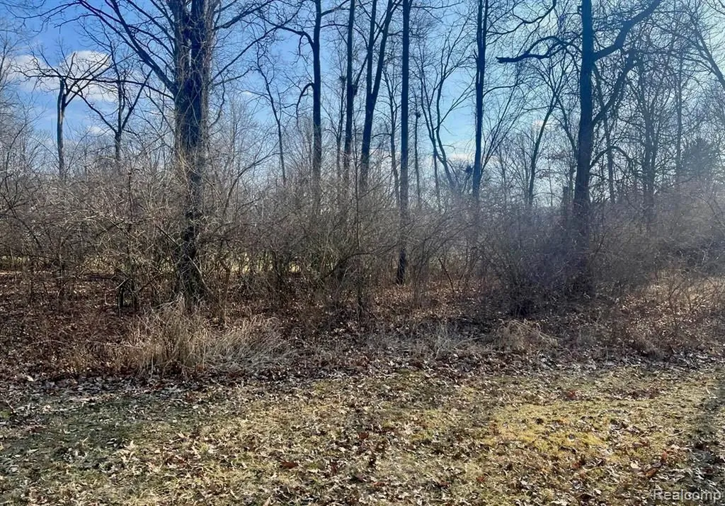 3400 Belgian Circle Summit Township MI 49203