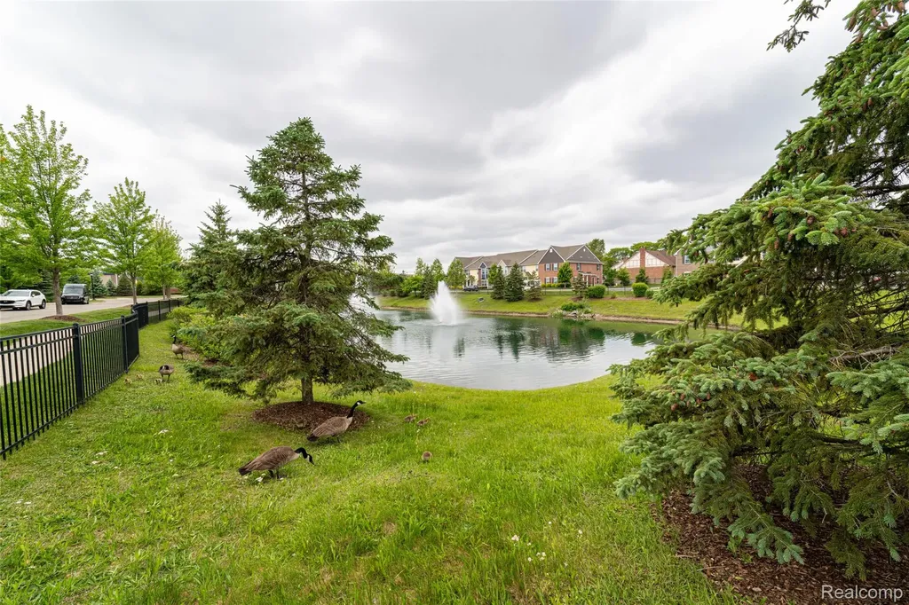 29987 Marigold Drive Southfield City MI 48076