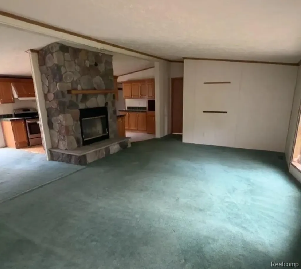 10537 Byron Road Burns Township MI 48418