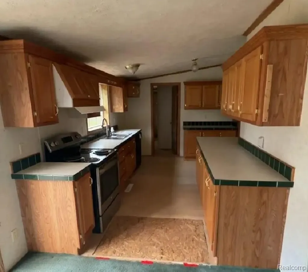 10537 Byron Road Burns Township MI 48418