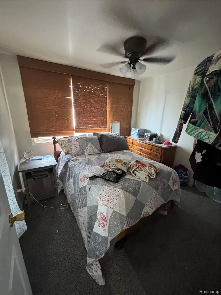 11614 Temperance Street Mt. Morris City MI 48458