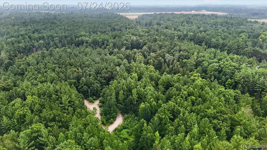 4915 Anglers Lane Sage Township MI 48624