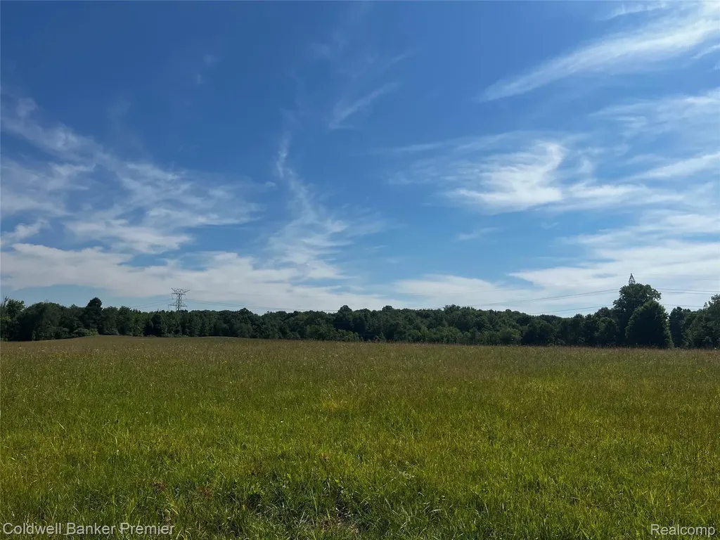 0000 E Leonard Road Addison Township MI 48367
