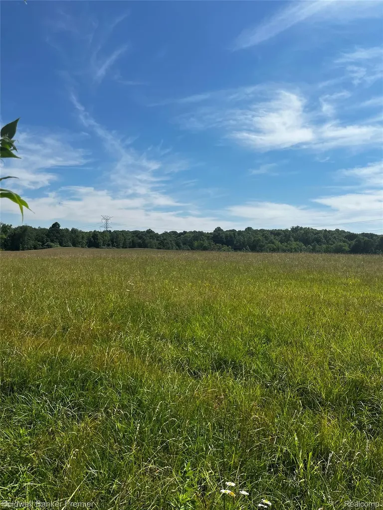0000 E Leonard Road Addison Township MI 48367