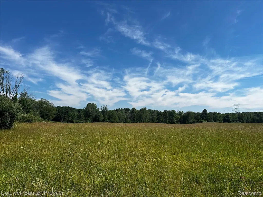 0000 E Leonard Road Addison Township MI 48367