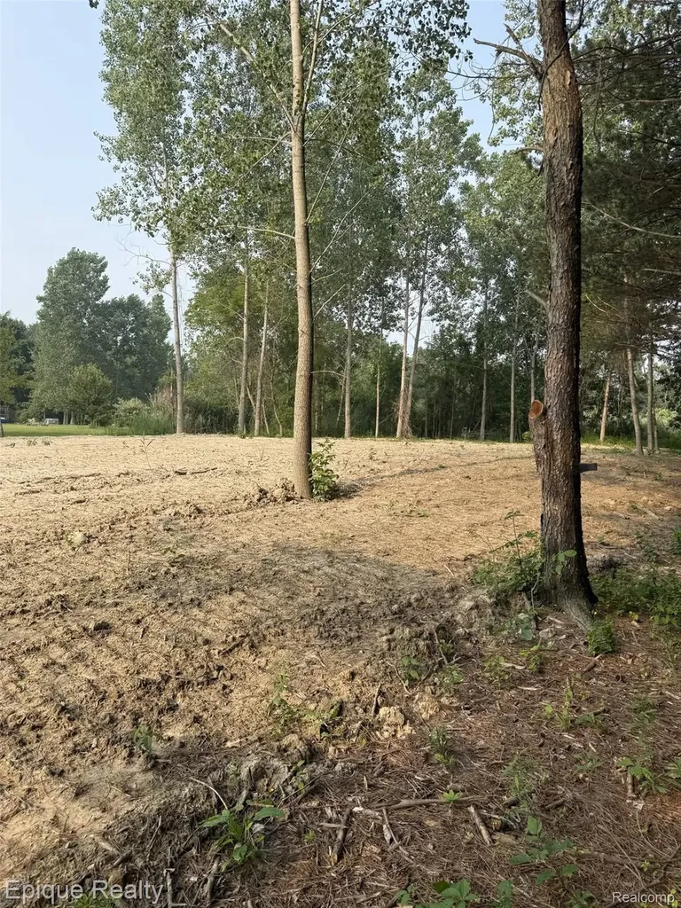 00 Hemlock Drive Burtchville Township MI 48059