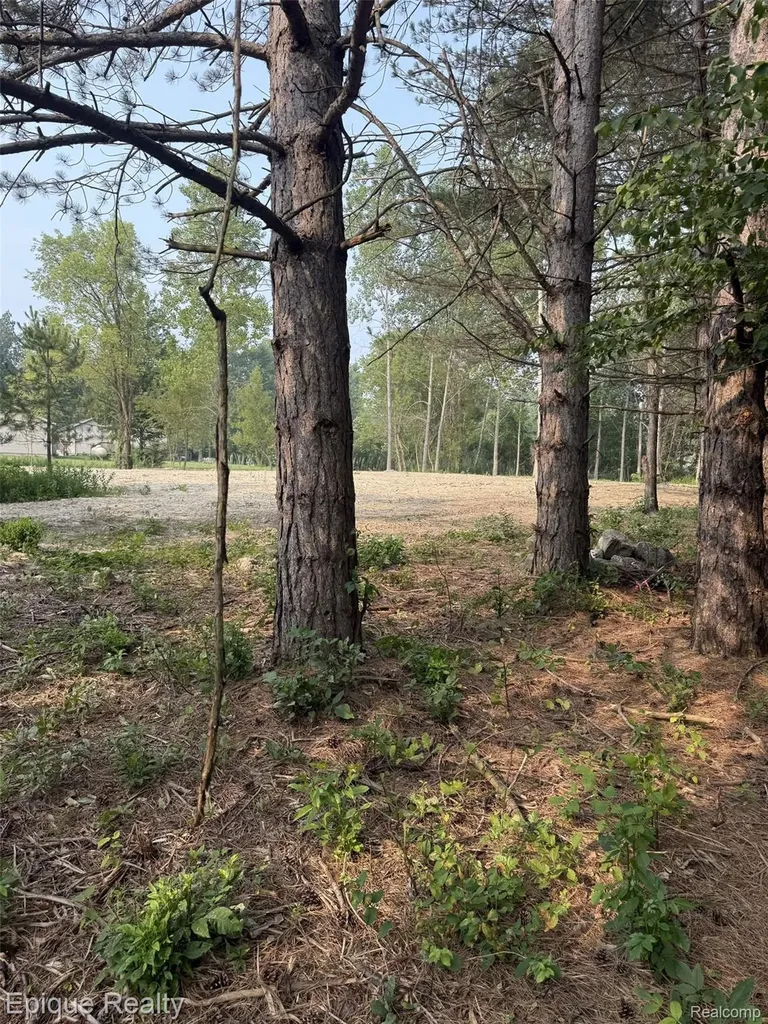 00 Hemlock Drive Burtchville Township MI 48059