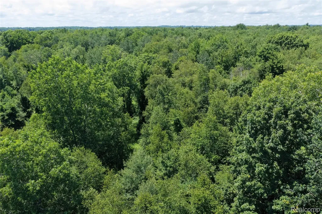 000 Lakeshore Road Sanilac Township MI 48401