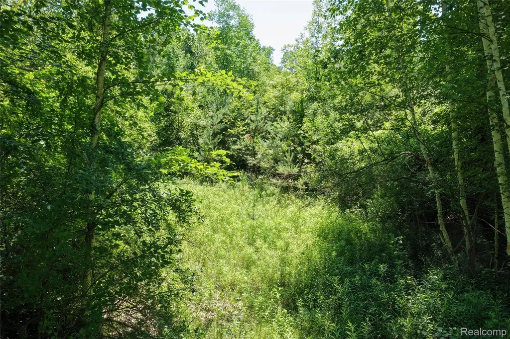 000 Lakeshore Road Sanilac Township MI 48401
