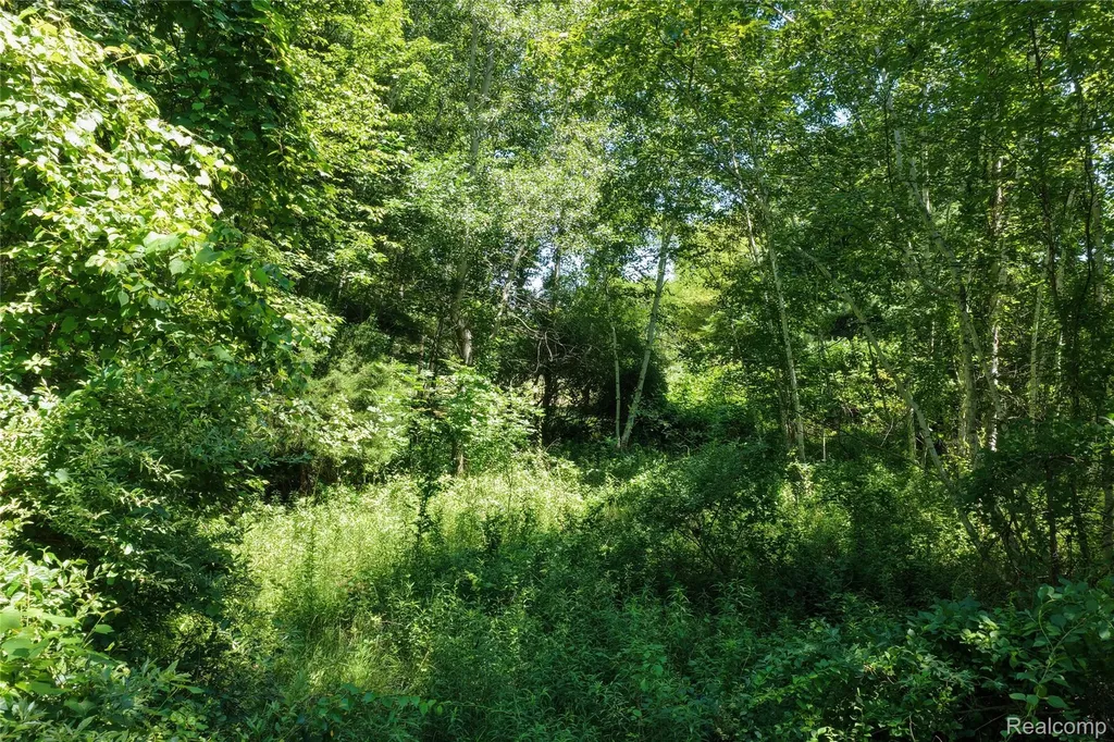 000 Lakeshore Road Sanilac Township MI 48401