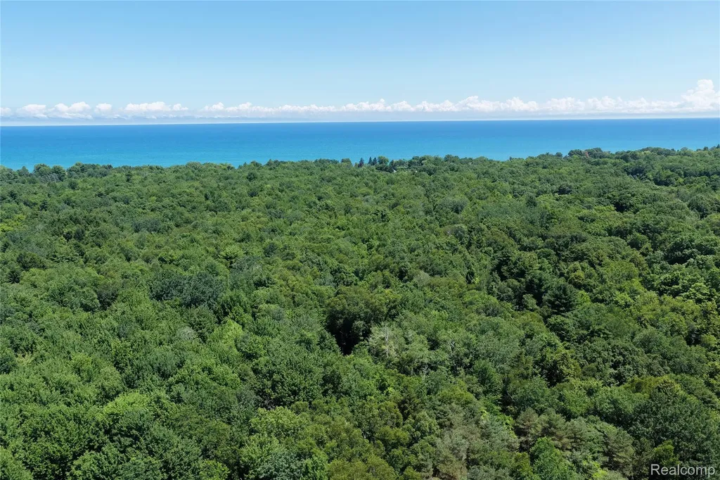 000 Lakeshore Road Sanilac Township MI 48401