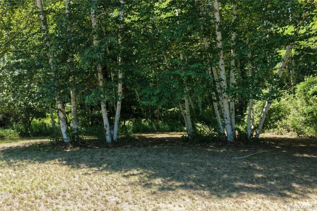 000 Lakeshore Road Sanilac Township MI 48401