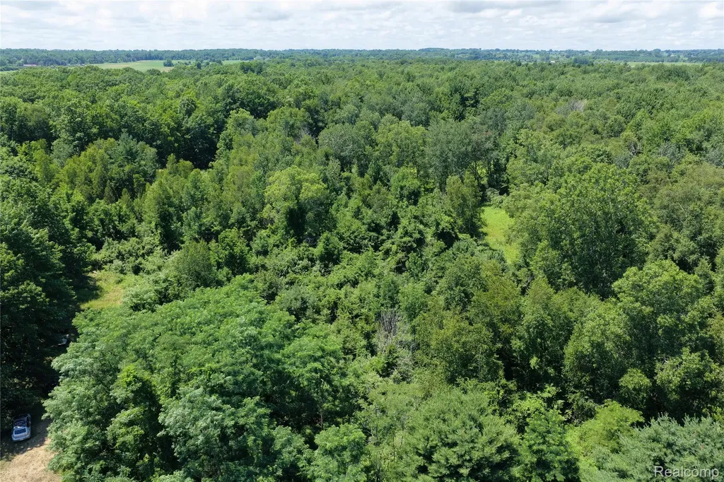 000 Lakeshore Road Sanilac Township MI 48401