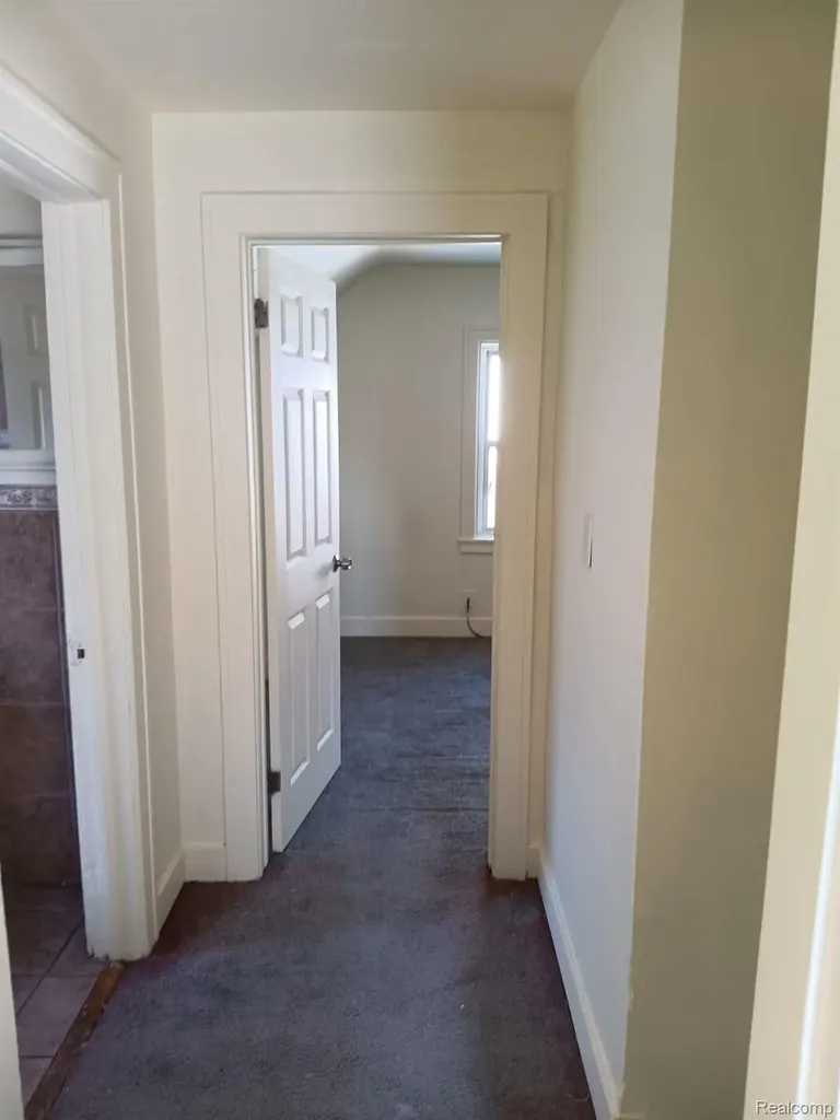 19643 Cliff Street Detroit City MI 48234