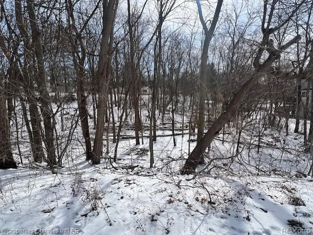 439 Alberta Street Lot 80 Auburn Hills City MI 48326