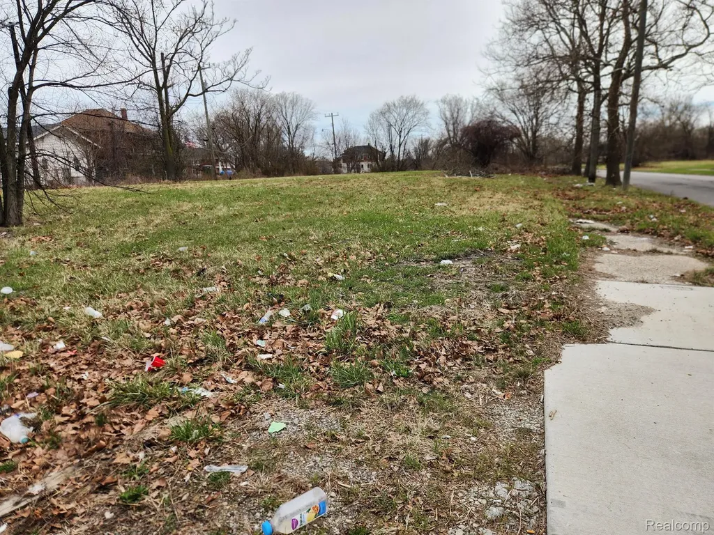 958 Kitchener Street Detroit City MI 48215