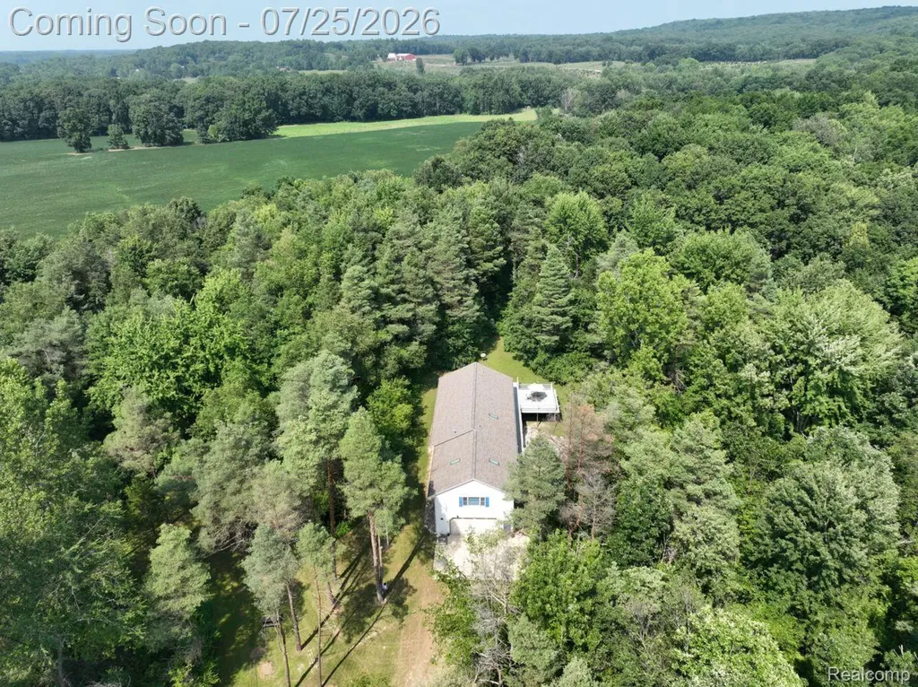 10201 Washburn Road Hadley Township MI 48438
