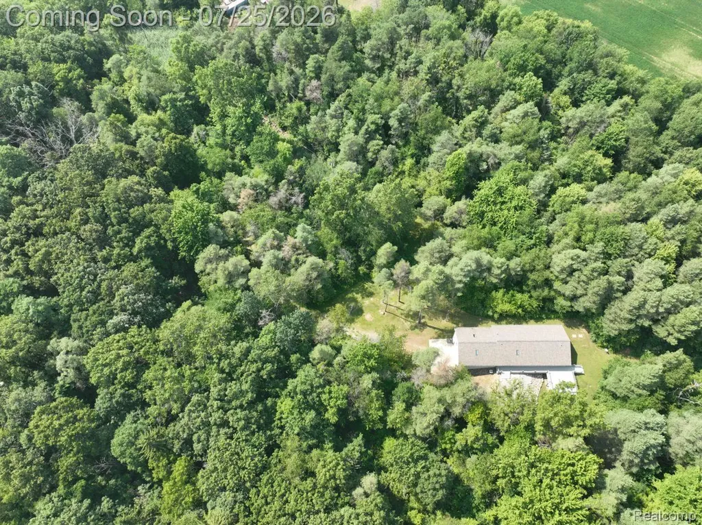 10201 Washburn Road Hadley Township MI 48438