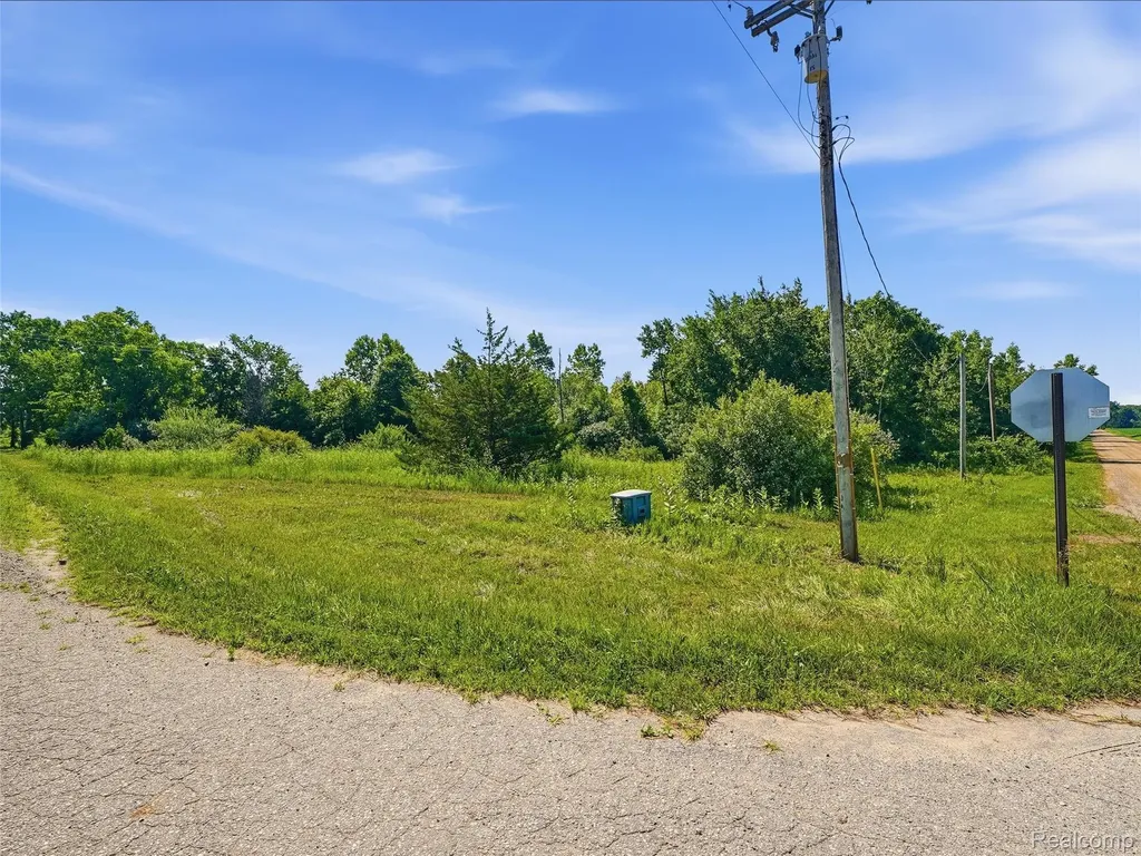 Parcel B-1 Mitchell Lake Road Attica Township MI 48412