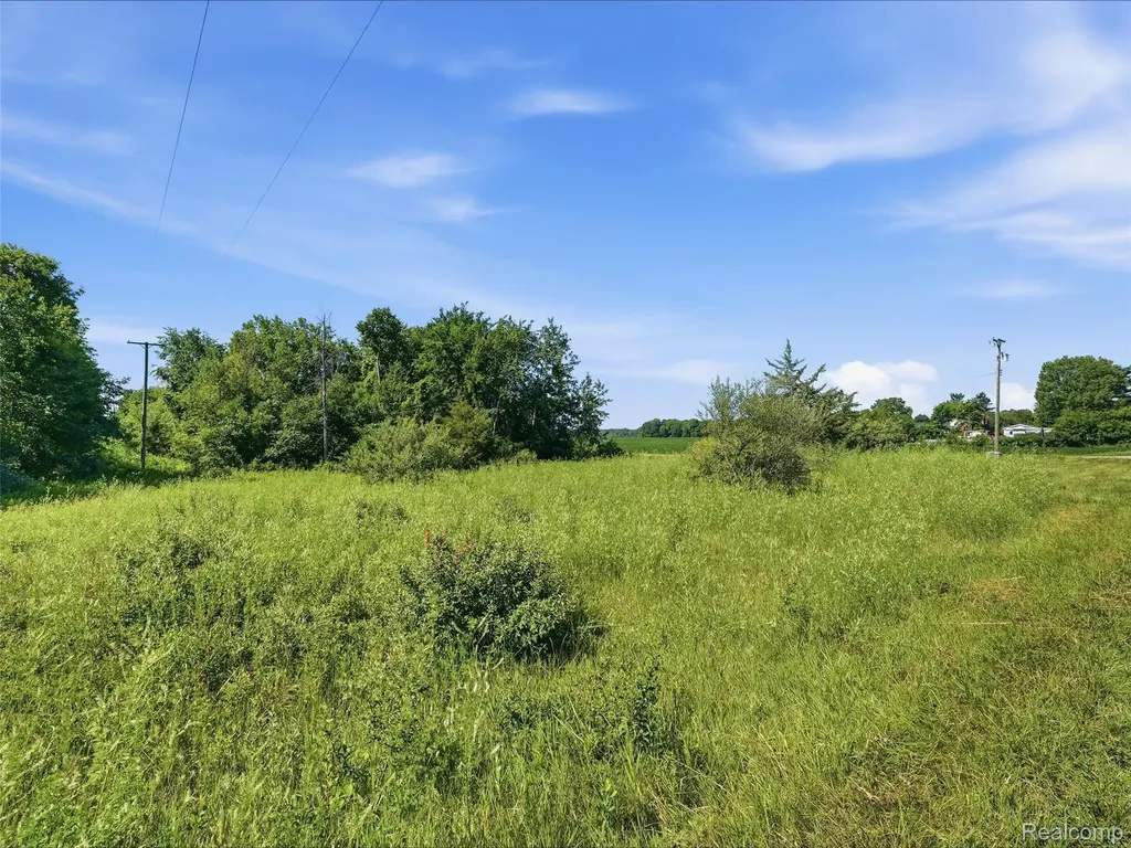 Parcel B-1 Mitchell Lake Road Attica Township MI 48412