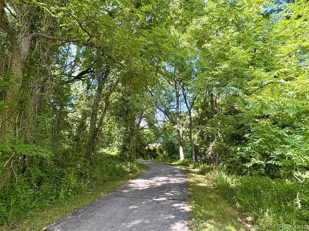 1215 Oakwood Road Brandon Charter Township MI 48462