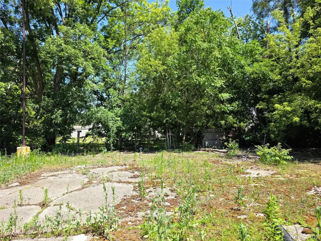 3106 W Pierson Road Mt. Morris Township MI 48504