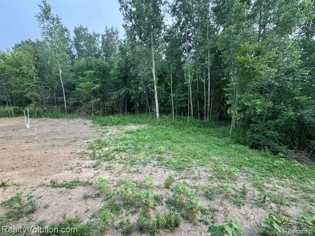 7260 Newark Road Imlay Township MI 48444
