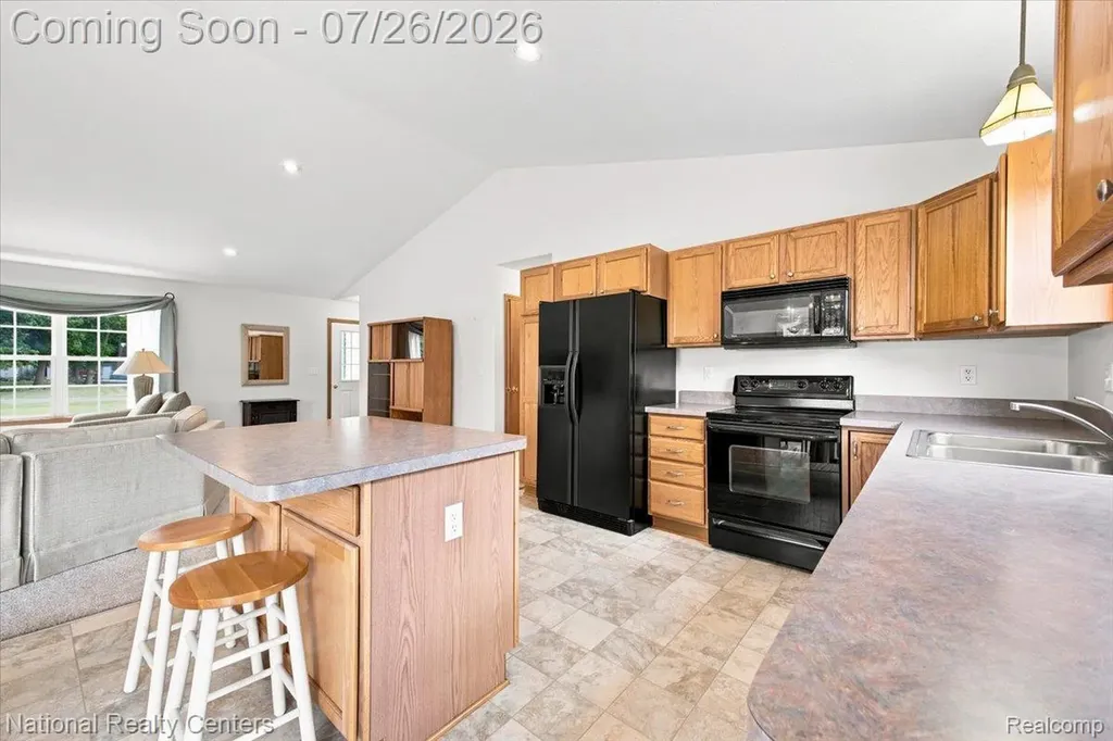 10844 Mackinaw Trail Handy Township MI 48836