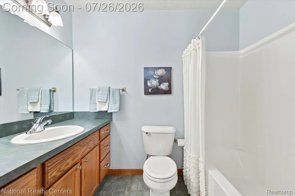 10844 Mackinaw Trail Handy Township MI 48836
