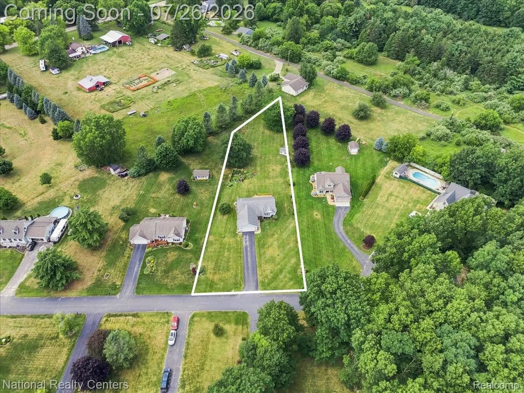 10844 Mackinaw Trail Handy Township MI 48836