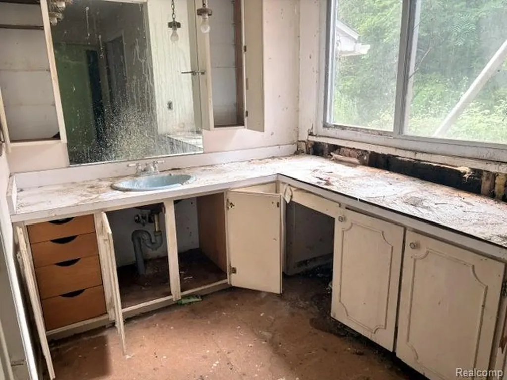10725 Converse Road Handy Township MI 48836