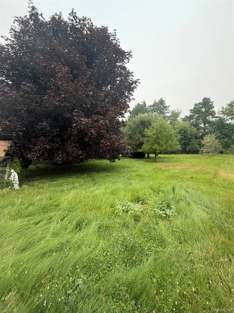 35 E Filion Road Lincoln Township MI 48432