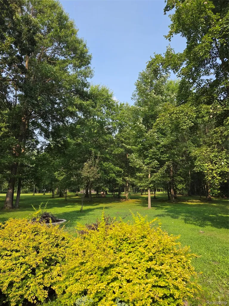 15055 Duffield Road Argentine Township MI 48418
