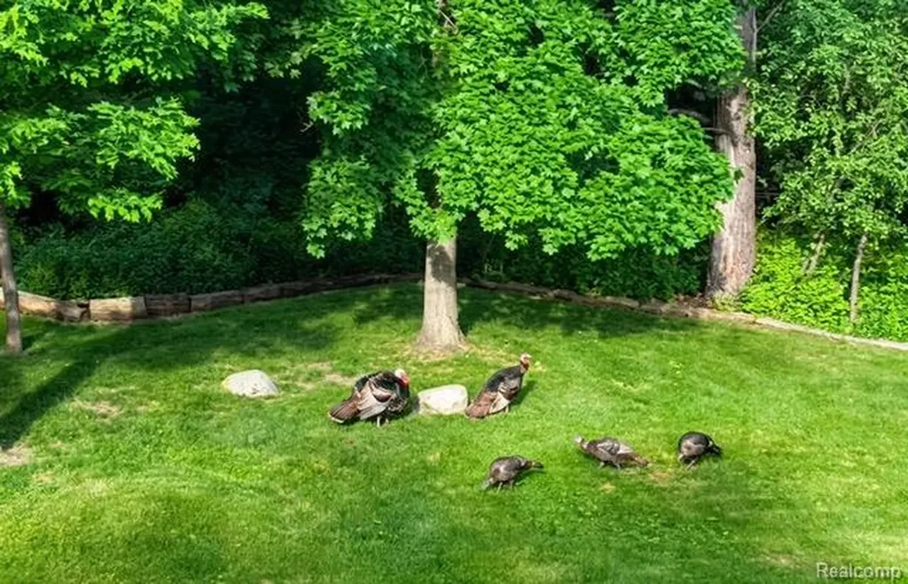 1437 Lantern Lane Rochester Hills City MI 48306