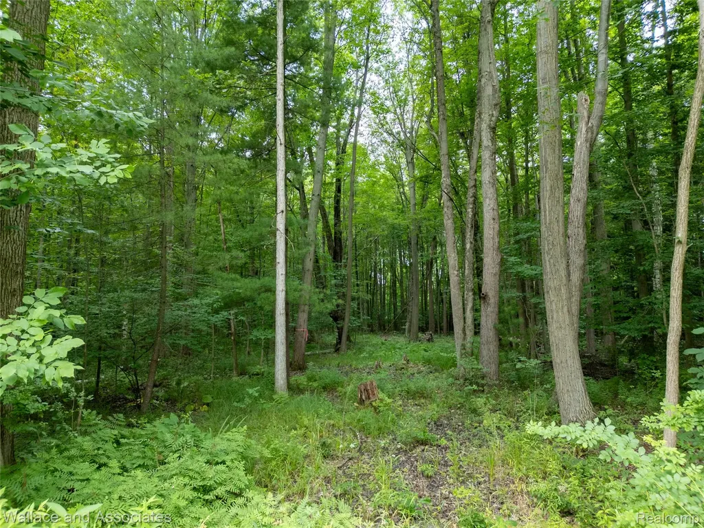 V/l Rabidue Road Clyde Township MI 48049
