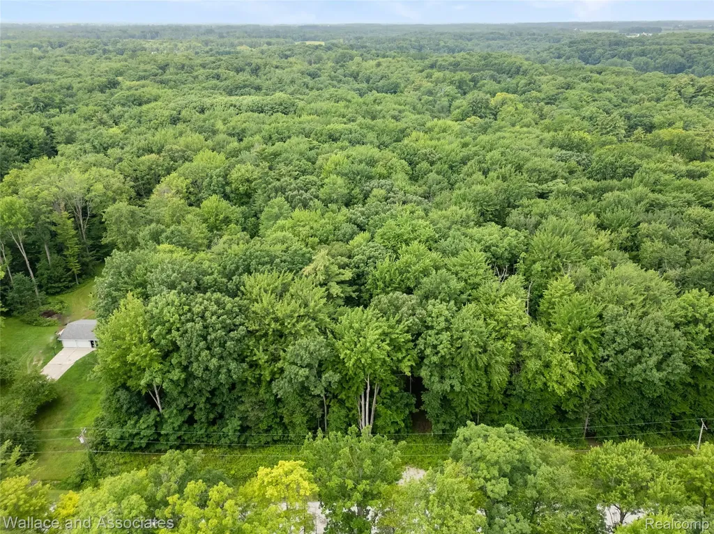 V/l Rabidue Road Clyde Township MI 48049